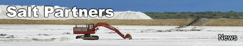 Salt Partners News